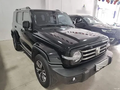 2021 Tank 300 Urban Edition 2.0T Stylish, фото 4, лот 10451196
