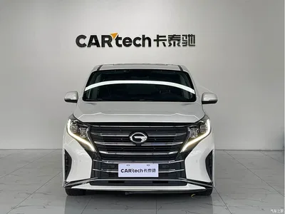2021 GAC Trumpchi Trumpchi M8 Leading Show Series 390T Prestige Edition, фото 2, лот 10414494