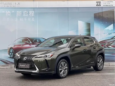 2020 Lexus UX Electric 300e Pure Enjoyment Edition, фото 1, лот 11220851