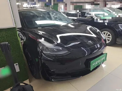 2022 Tesla Model 3 Model Rear-Wheel Drive Version, фото 4, лот 10679918