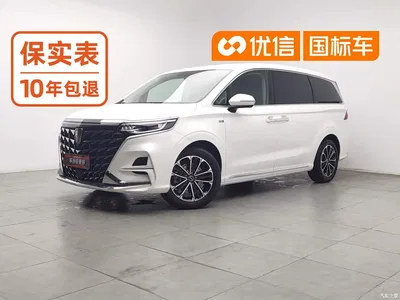 2023 Roewe iMAX8 400TGI Comfort Edition, фото 1, лот 10338887