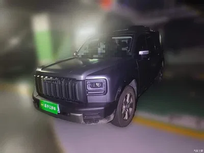 2025 Haval Menglong 2.0T 4WD Pro, фото 1, лот 11180078