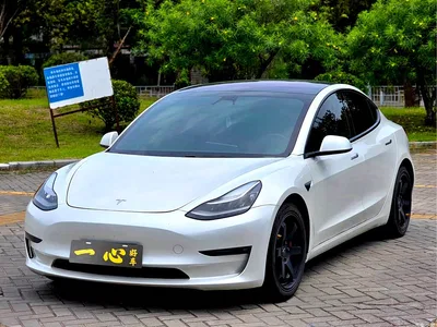 2019 Tesla Model 3 (Import) Performance High-Efficiency All-Wheel Drive Version, фото 1, лот 10354337