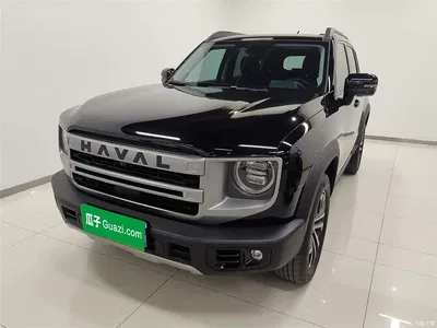 2024 Haval Big Dog 1.5T DCT Border Collie Edition, фото 2, лот 10361232