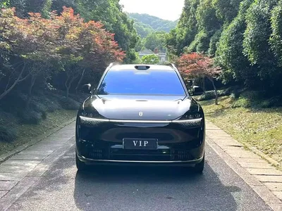 2024 AITO Wenjie AITO M9 Range Extender Ultra 52kWh 6-seater, фото 2, лот 10276613