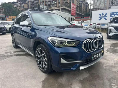 2022 BMW X1 xDrive25Li Premium, фото 3, лот 10465099