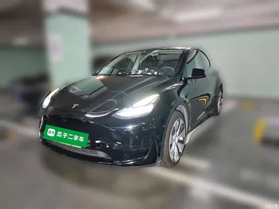 2022 Tesla Model Y Facelift Rear-Wheel Drive Version, фото 1, лот 11217483