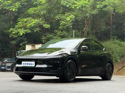 2026 Tesla Model Y Long Range Rear-Wheel Drive, фото 1, лот 10455193