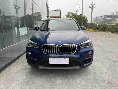 2019 BMW X1 sDrive20Li Leading Model, фото 3, лот 10465033