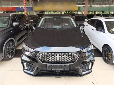 2020 WEY Wei VV7 GT 2.0T Super Luxury, фото 3, лот 11518386