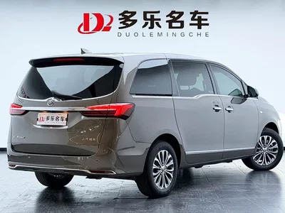 2022 Buick GL8 Land Business Class 652T Luxury, фото 3, лот 10256206