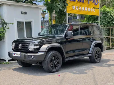 2024 Tank 300 Model 2.0T Challenger, фото 1, лот 10344661