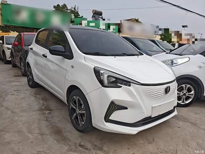 2020 Changan Benben E-Star Model Happy Edition (LFP 31.18kWh), фото 4, лот 10390507