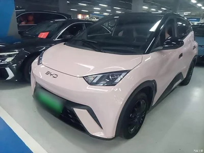 2024 BYD Seagull Glory Edition 305km Vitality Edition, фото 2, лот 10259664