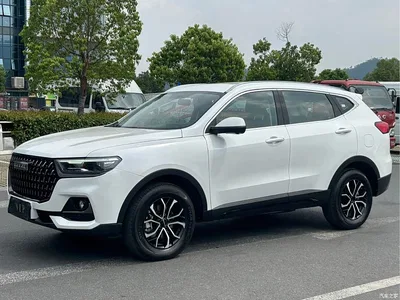 2025 Haval H6 1.5T National Trend Champion Edition, фото 3, лот 11136332