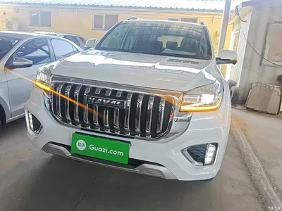 2022 Haval H9 2.0T Gasoline 4WD Smart Enjoyment 5-seater, фото 3, лот 10287218