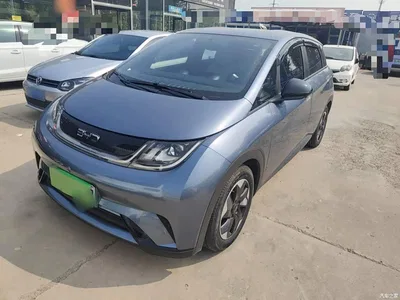 2024 BYD Dolphin Glory Edition 420km Freedom Edition, фото 1, лот 11074916