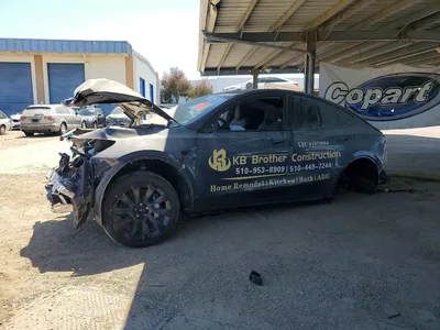 2023 TESLA MODEL Y, фото 1, лот 10854348