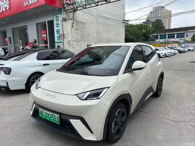 2023 BYD Seagull Freedom Edition, фото 1, лот 10253280