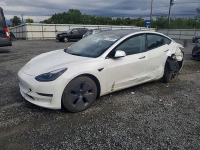 2023 TESLA MODEL 3, фото 1, лот 10854475