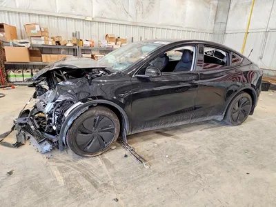 2026 TESLA MODEL Y, фото 1, лот 10855795