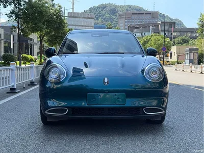 2024 Ora Good Cat 401km Premium 126kW, фото 2, лот 10330829