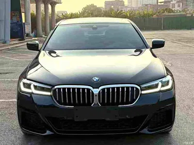 2021 BMW 5 Series 530Li Premium M Sport Package, фото 1, лот 11212896