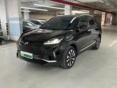2018 Weltmeister EX5 400 Extra Innovation Edition, фото 1, лот 11216569
