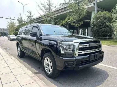 2023 Haval H5 2.0T Automatic 4WD Leading Edition Diesel, фото 3, лот 10416249