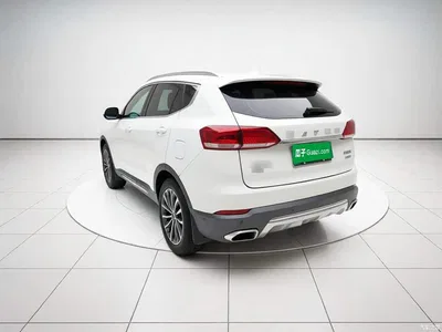 2017 Haval H6 Blue Label 2.0T Auto 2WD Leader, фото 4, лот 10297184