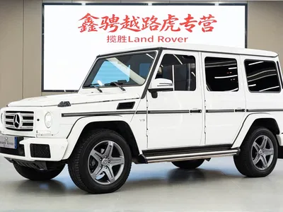 2017 Mercedes-Benz G-Class G 500 Excellence, фото 1, лот 10281038