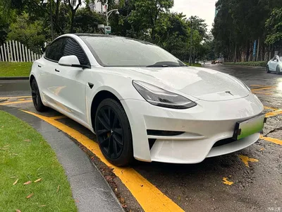 2019 Tesla Model 3 (Import) Standard Range RWD Upgraded Edition, фото 3, лот 10358311