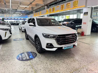 2021 Haval H6 National Trend Edition 1.5T Automatic Urban Edition, фото 3, лот 10283514