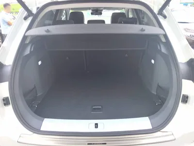 2019 Hongqi HS5 2.0T Smart Connect Enjoy 4WD Edition, фото 4, лот 10289627
