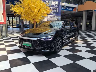 2023 BYD Han DM-i Champion Edition 121KM Honor, фото 1, лот 11183772