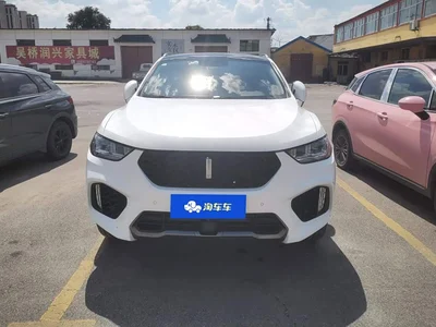 2019 WEY VV5 Upgrade 2.0T 2WD Ultra Luxury China V, фото 2, лот 10451843