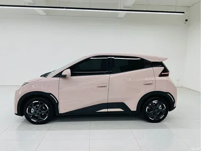 2025 Byd Seagull, фото 4, лот 10247543
