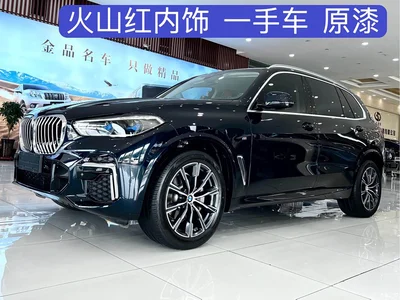 2022 BMW X5 Facelift xDrive 30Li Premium M Sport Package, фото 2, лот 10232198