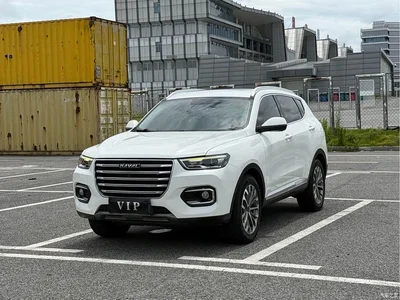 2020 Haval H6 2.0GDIT Automatic Platinum Champion Edition, фото 1, лот 10298167