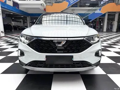 2021 Jetta VS7 Panda Edition 1.4T Auto Deluxe, фото 2, лот 10405708