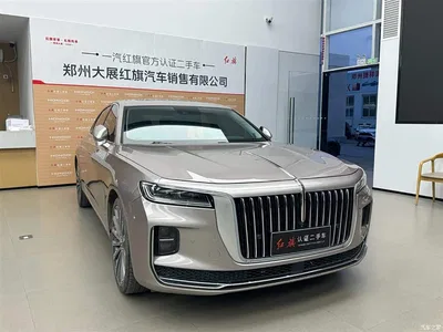 2020 Hongqi H9 2.0T Smart Connection Qi Chang Edition, фото 2, лот 10386635