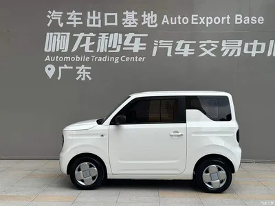 2023 Geely Galaxy Panda Mini 200km Endurance Bear, фото 3, лот 10428523