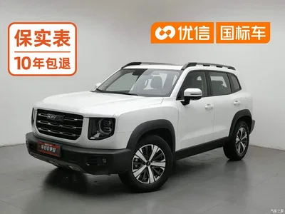 2021 Haval Big Dog 1.5T DCT 2WD Labrador Edition, фото 1, лот 11081222