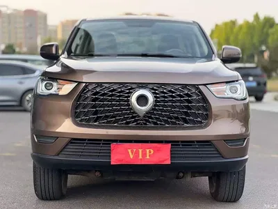 2019 Great Wall Pao 2.0T Commercial Version Automatic Gasoline 2WD Elite Long Box GW4C20B, фото 2, лот 10836988