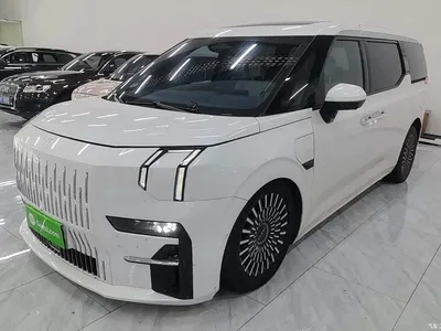 2022 ZEEKR 009 WE Edition, фото 2, лот 11248707