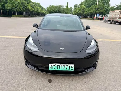 2021 Tesla Model 3 Standard Range Rear-Wheel Drive Upgrade, фото 2, лот 10368343