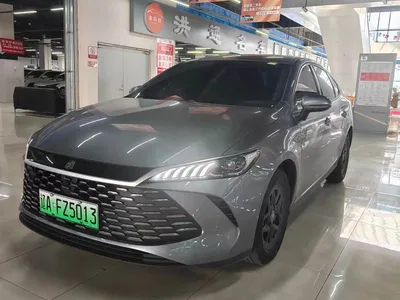 2025 BYD Qin PLUS DM-i Smart Drive 55KM Leader, фото 1, лот 10364148