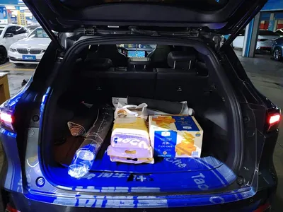 2023 Changan Qiyuan Q05 125 Pro, фото 4, лот 11580681