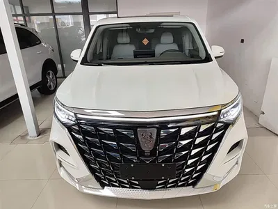 2025 Roewe iMAX8 EV Model 1.5T DMH Land Premium Edition, фото 3, лот 10957989
