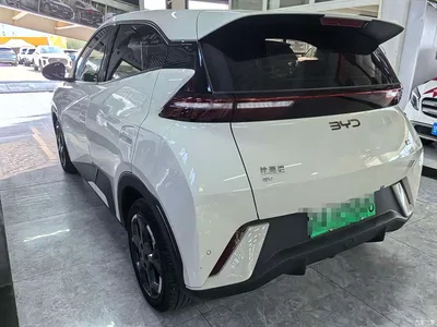 2024 BYD Seagull Glory Edition 305km Freedom Edition, фото 4, лот 10249942